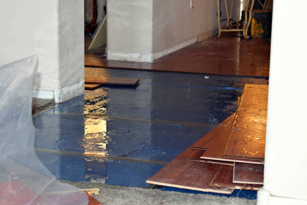 Professional Basement Flood Cleanup technician working in Pike, NH